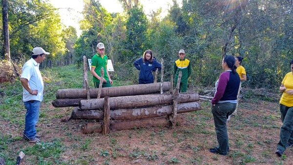Presentan circuito turístico «Mbaracayú Yerba Mate Guataha»