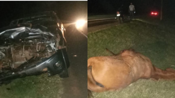 Vehículo impactó contra un caballo suelto sobre la Ruta PY01 en Gral. Delgado