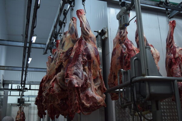 Brasil sigue exportando más de 1 de cada 3 kilos producidos