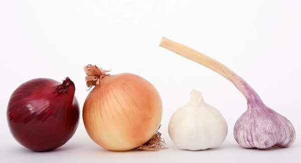 Una dieta baja en FODMAP para las personas con SIBO - Estilo de vida - ABC Color