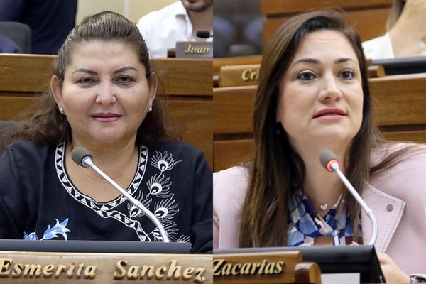 Proyecto de “cuidados paliativos” para pacientes con enfermedades terminales impulsan en Diputados