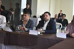 ANÁLISIS DEL ESTATUTO DE LA ASOCIACIÓN DE MUNICIPIOS DEL ÁREA METROPOLITANA DE ENCARNACIÓN