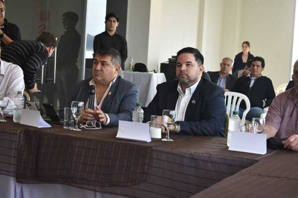 ANÁLISIS DEL ESTATUTO DE LA ASOCIACIÓN DE MUNICIPIOS DEL ÁREA METROPOLITANA DE ENCARNACIÓN