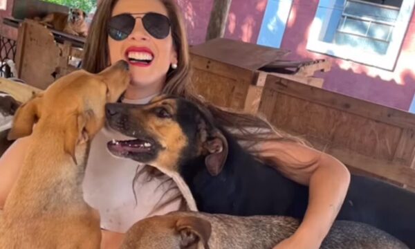(VIDEO)Pelotera ligó besito de loperro