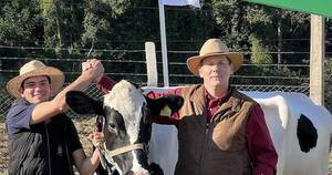 La Nación / La vaca más productiva dio 92,9 litros de leche en un día