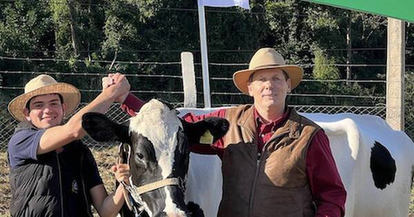 La Nación / La vaca más productiva dio 92,9 litros de leche en un día