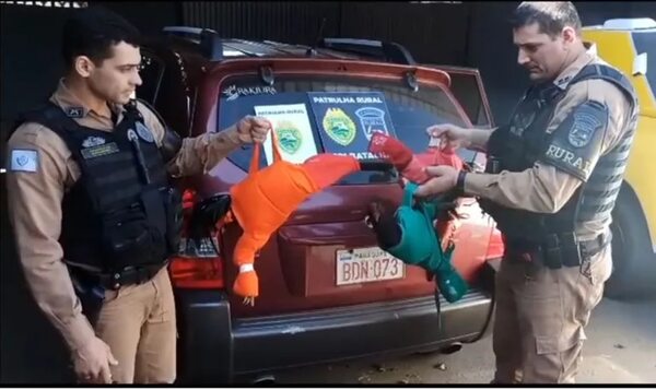 Apresan en Brasil a dos paraguayos que llevaban gallos de riña para vender - Nacionales - ABC Color