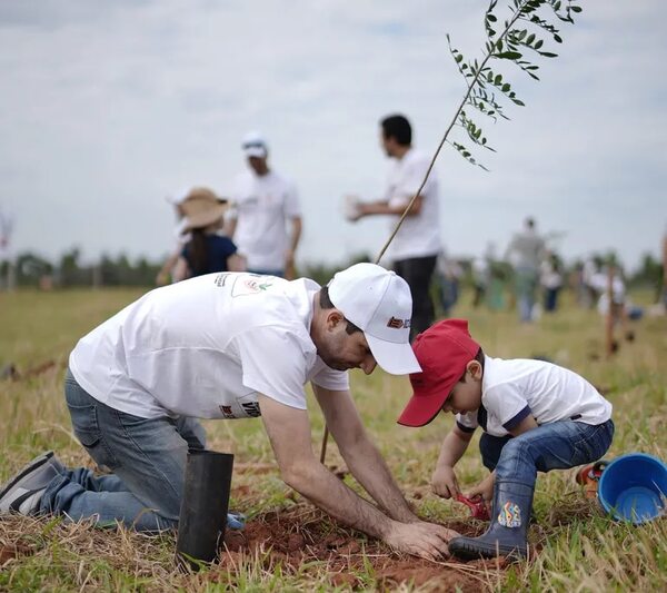 IDESA lidera plantación de árboles nativos en busca de un futuro más sostenible - Brand Lab - ABC Color
