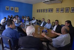 PLRA recomienda a parlamentarios   evitar el copamiento del cartismo - Política - ABC Color