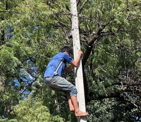 Detienen a un hombre en el momento en que se encontraba trepando para robar cables - Policiales - ABC Color