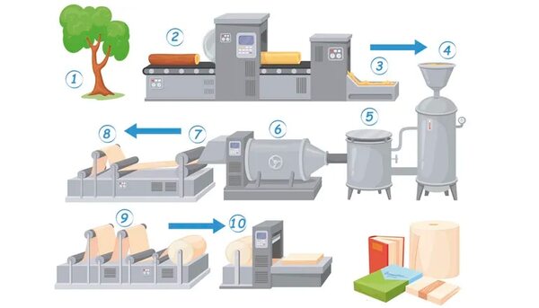 Proceso de producción de papel - Escolar - ABC Color