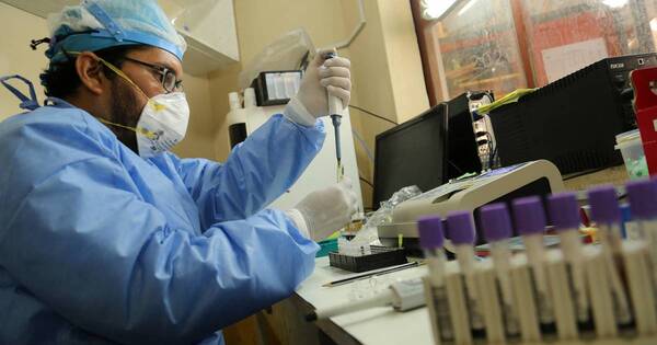 La Nación / Alerta en EE. UU. por cinco casos de malaria