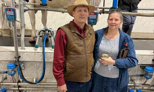 Nuevo récord en producción de leche: 92,9 litros en un día