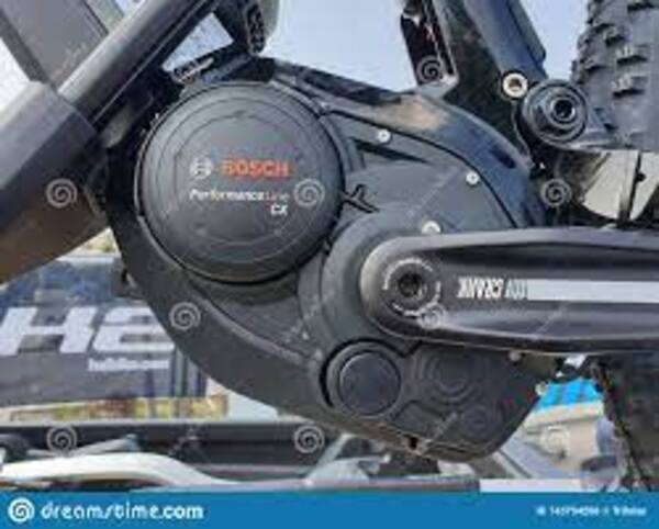 Nuevos biciclos - El Independiente