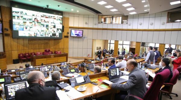 ESTUDIO DE LA REFORMA POLICIAL SE REANUDA HOY EN EL SENADO - Itapúa Noticias