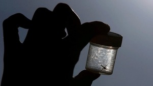 EEUU confirma primeros casos locales de malaria en 20 años | 1000 Noticias