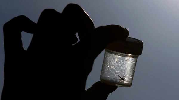 EEUU confirma primeros casos locales de malaria en 20 años | 1000 Noticias