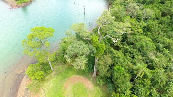 Cuatro reservas naturales de la Itaipu cumplen casi 40 años de creación - El Independiente