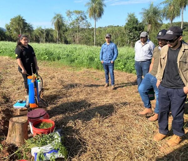 Impulsan mejoramiento de suelo y producción pecuaria como alternativa de fuente de trabajo rural en San Roque González - Nacionales - ABC Color