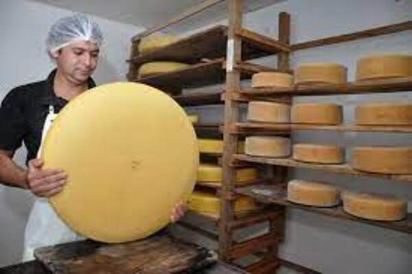 Diario HOY | Quesú Paraguay "for export" será un hecho: todo montado para abrir mercados de primer mundo