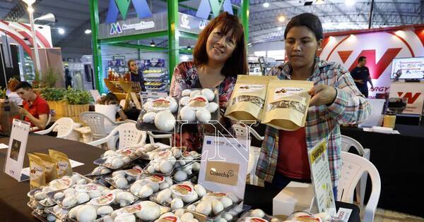 La Nación / Día Internacional de las Mipymes: en Paraguay todavía se sienten desprotegidas