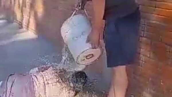 ¡Indignante! Derrama agua helada a indígena en situación de calle