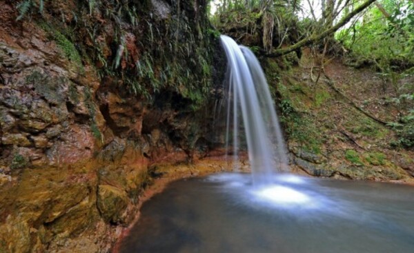 Se cumplen 39 años de reservas Tatí Yupí, Itabo, Limoy y Mbaracayú