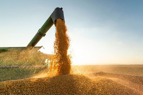 PIB repuntó 5,2% en el primer trimestre gracias al buen desempeño del agro y las binacionales - MarketData