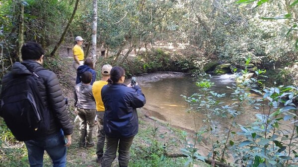 El nuevo circuito turístico sobre la yerba mate en el Mbaracayú