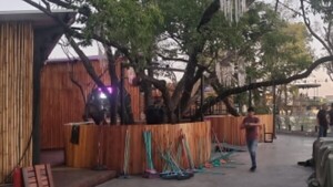 Tras campaña masiva de vecinos, cerraron temporalmente local barullento