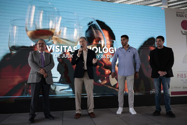 Productores vinícolas mexicanos esperan alza de 20 % en fabricación de vinos para 2023 - MarketData