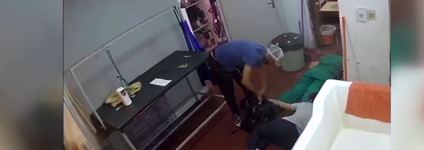 San Lorenzo: Policía captura a presunto asaltante de veterinaria - Unicanal