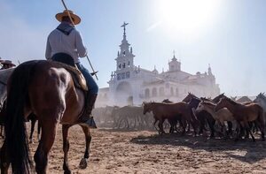 El mayor humedal de España se seca por la agricultura y el turismo - Mundo - ABC Color