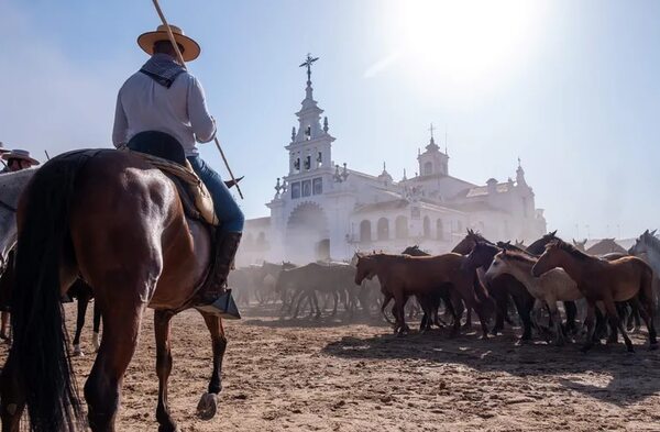 El mayor humedal de España se seca por la agricultura y el turismo - Mundo - ABC Color