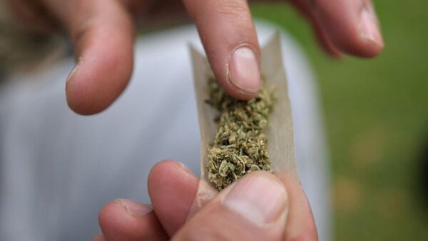 Consumo mundial de marihuana creció un 23%, según informe
