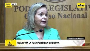 Video: Continúa la puja por Mesa Directiva en Senado  - ABC Noticias - ABC Color