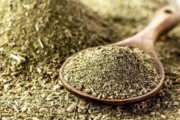 Yerba mate: Paraguay duplica producción y busca nuevos mercados - Economía - ABC Color