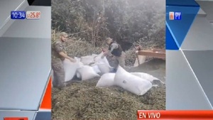 Antinarcóticos incautan 11.000 kilos de drogas - Noticias Paraguay