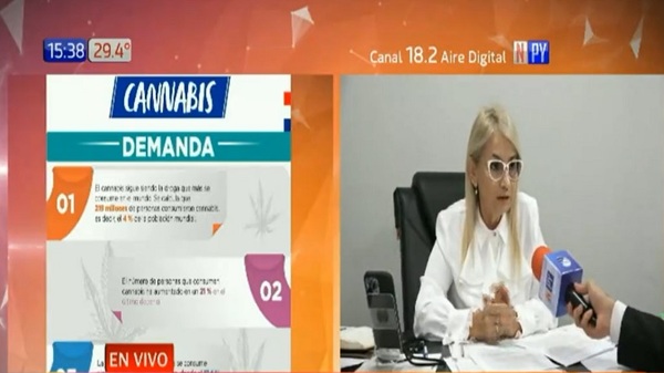 Informe revela que consumo de marihuana creció 23% - Noticias Paraguay