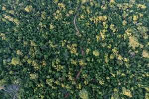 Diario HOY | Celebran el 32 aniversario de la creación de la Reserva Natural Mbaracayú