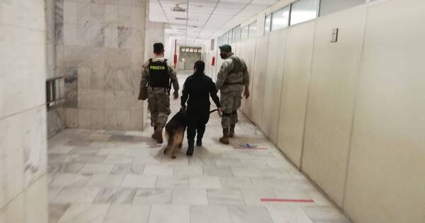La Nación / Detienen al que realizó llamadas de amenaza de bomba en el Palacio de Justicia