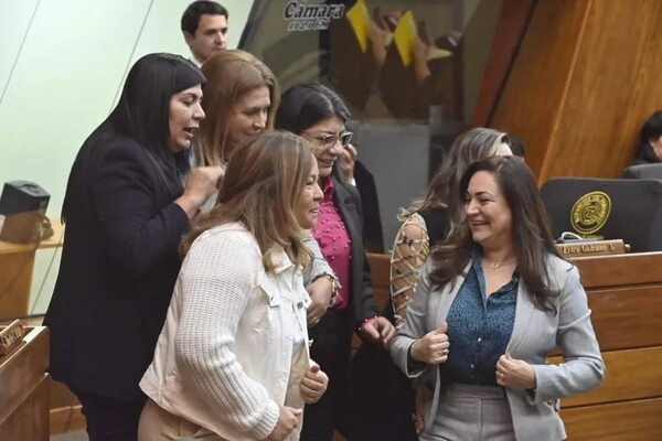 Diputados ratifica autoaumento de G. 28.000 millones para salarios - Política - ABC Color