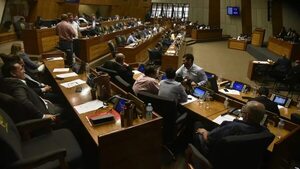 Diputados aprobó en tiempo récord plan para fusionar Tributación y Aduanas - Economía - ABC Color