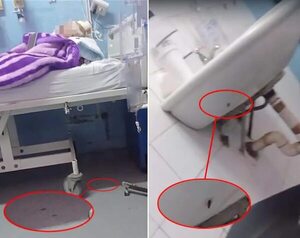 Video: IPS está inundado de cucarachas, pero autoridades no dan la cara  - Nacionales - ABC Color