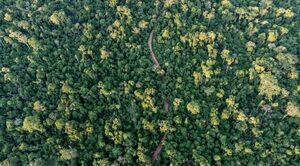 Celebran el 32 aniversario de la creación de la Reserva Natural Mbaracayú - Oasis FM 94.3