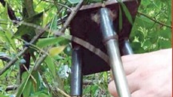 Joven quedó malherido por cazabobos puesto en kokue