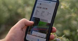 La Nación / Drones e inteligencia artificial diseñan la agricultura del futuro