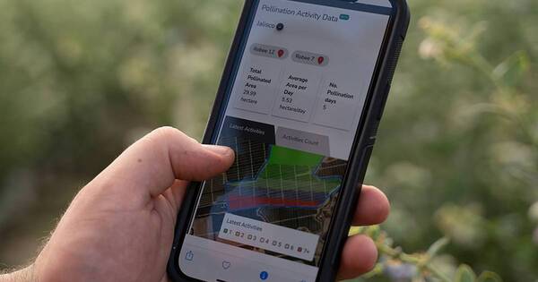 La Nación / Drones e inteligencia artificial diseñan la agricultura del futuro