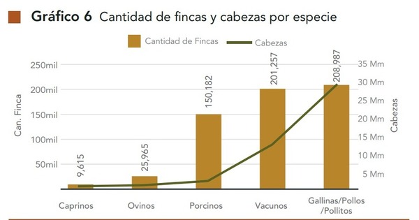 Censo Agropecuario revela baja tecnificación de fincas