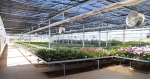 Inauguran moderno invernadero para producción de orquídeas en Caacupé